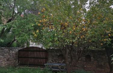 Large Stone Villa with garden. - Foto 6