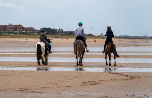 VILLA CATHY DUPLEX PLEIN SUD VUE PORT avec PISCINE INTERIEURE CHAUFFÉE - Foto 40