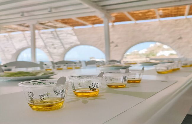 Cata de aceite de oliva por experto en Mykonos - Foto 1