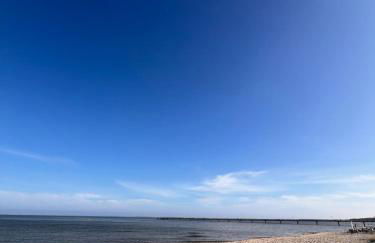 Lobster im Nauticum - Foto 16