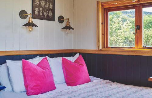 Curious Calf - Foto 19