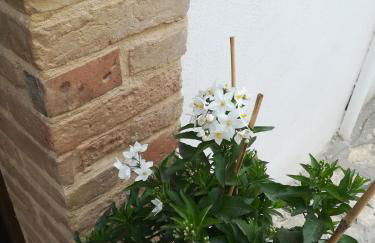 Dimora alla Chiesa Diruta - Foto 48