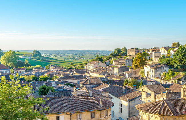 Private Tour of Saint-Émilion - Foto 4