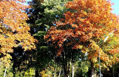Ferienwohnung Das Fuchsrevier - Foto 17