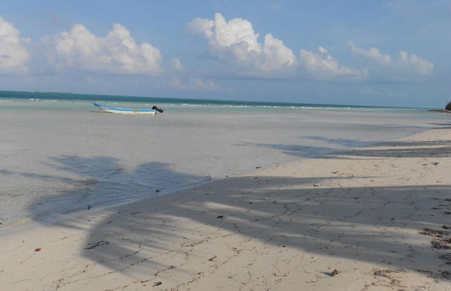 Nathan's Lodge - Photo 41