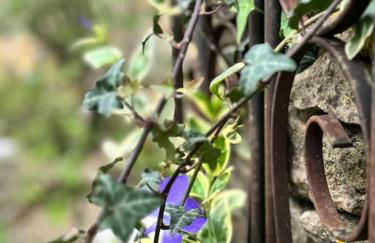 Come and stay at Little Wick - Foto 6