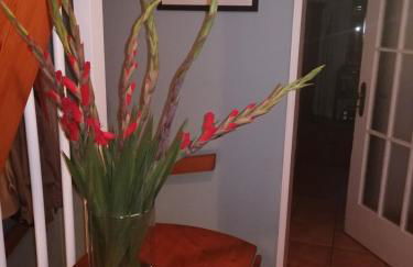 Haus Meersburg Garten - Foto 13