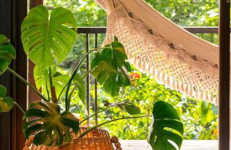 Casa Anavilhanas - Foto 12