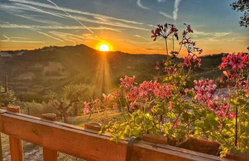 La Valle degli ulivi - Foto 13