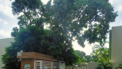 Vilage Aconchegante - Imbassaí - Foto 3