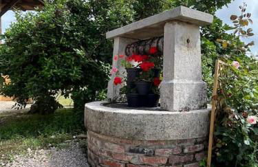 Gîte Les Petits Belézins - Foto 34