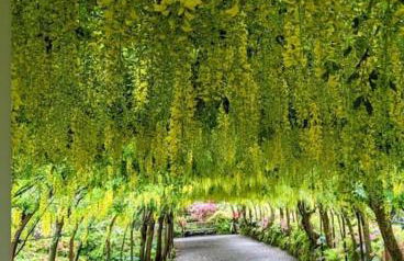 Hot tub - Number 37 - Foto 21