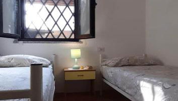 Il rosmarino - Foto 4