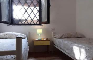 Il rosmarino - Foto 4