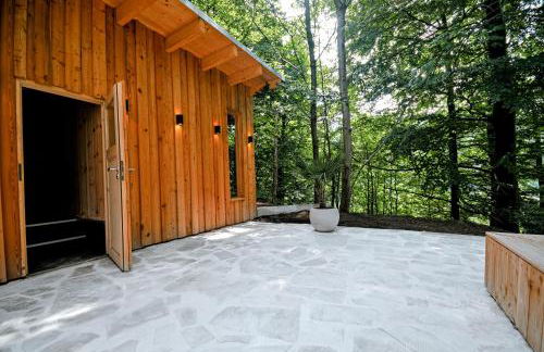 Haus Orbis Noster im Harz - Whirlpool und Sauna - direkt am Wald - Foto 33