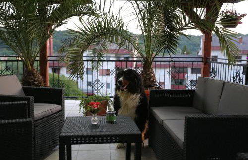 APARTMANI KSENIJA - Foto 35