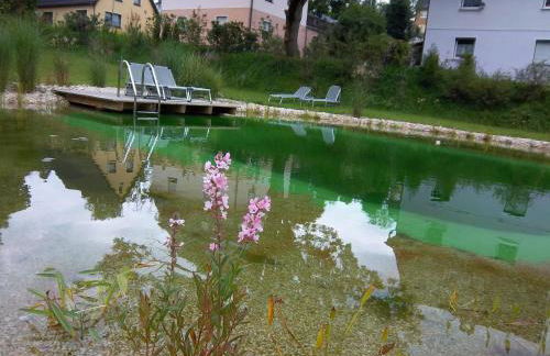 Ferienwohnungen Bochmann - Foto 35