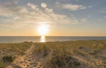 Moliets Plage Appartement pour 4 Piscine proche Plage et Commerces - Foto 4