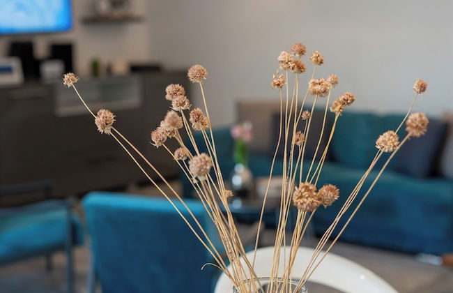 Villa Picholine - Foto 27