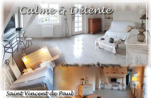 Dax location maison avec spa - Foto 12