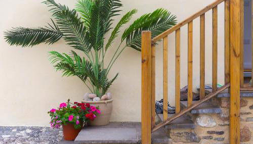 Carines Barns - Tre - Foto 2