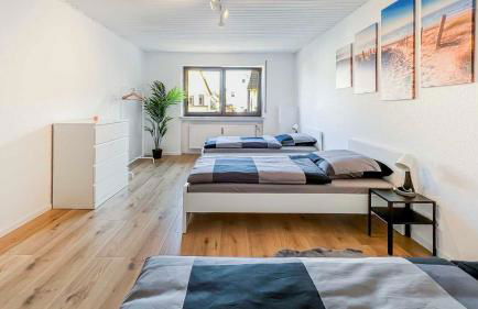 Houses in Gau-Bischofsheim - Foto 11