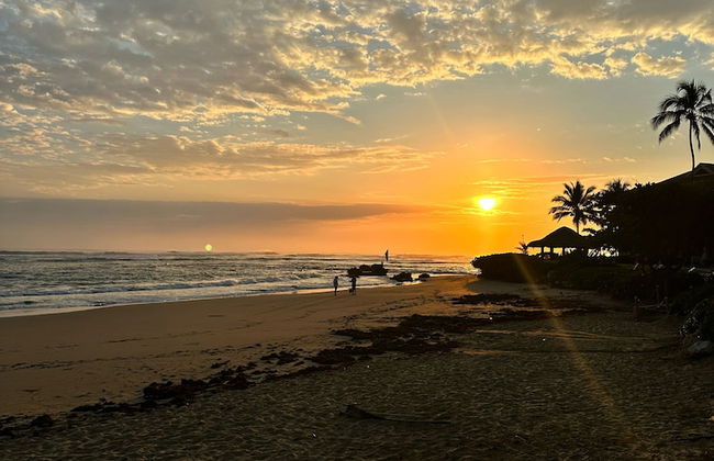 Kite House Cabarete - Photo 23