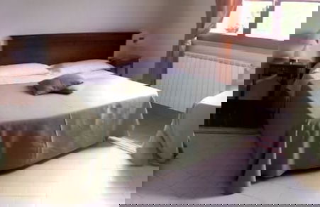 Fattoria La Steccaia - Foto 5