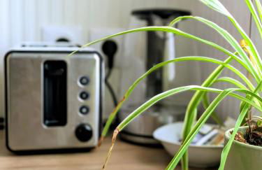 Yutz and Zen - Photo 13