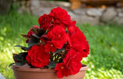 Apartment Marijo by Interhome - Foto 40