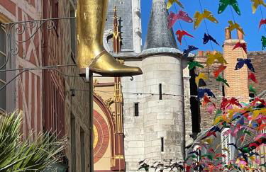 Le Pigeonnier centre historique Auxerre - Foto 53