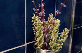 Apartamentos 14DeSande - Foto 62