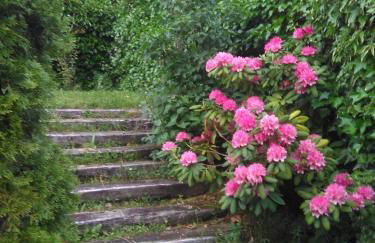 Casa Rural Calecha - Photo 21