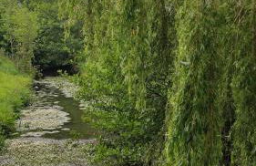 Right between two coast lines - Foto 8