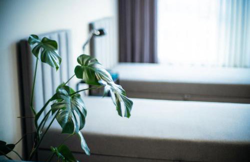 Apartamenty I SORAU Old Town - Foto 71