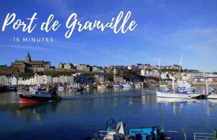 Le Pommier Gite neuf avec parking privé clos - Foto 18