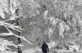 Casetta in Collina - Foto 29