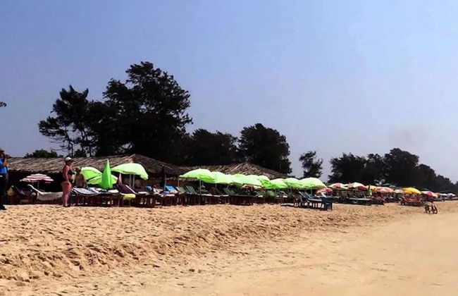 Veeniola Apartment - Stay in Goa - Foto 9