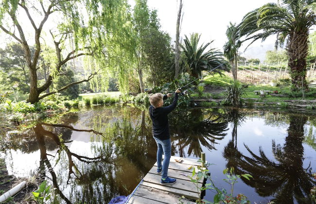 Waterland - Photo 77