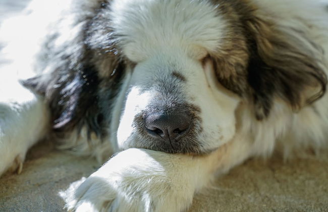 Hotel Rural Fuente la Teja - Foto 37