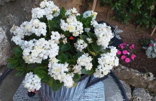 Studio Luna - Photo 13