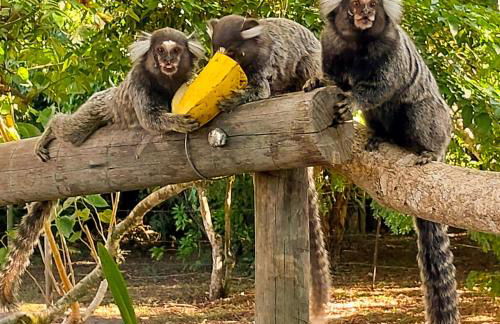 Studios Verdes hospedagens - Photo 8