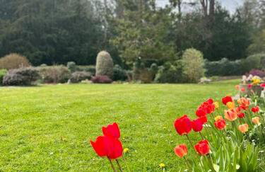 A spacious hidden gem with hot tub, lovely garden & views - Foto 26