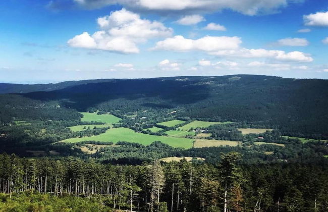 Pretty Holiday Home in Schöfweg ot Langfurth near Ski Slope - Foto 26