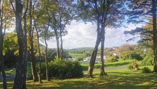 FAB Caravan Holiday Home - Foto 2