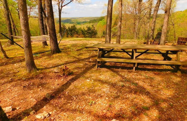 Rock Eddy Bluff Farm - Photo 35