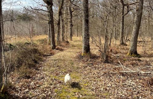 Gîte cosy en Sologne, nature et pêche, tout inclus - FR-1-590-549 - Foto 21