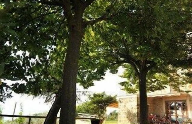 Il Casale di Mario - Foto 22