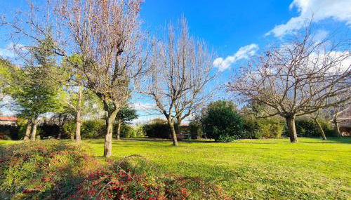 IL PICCOLO PARADISO - Foto 4