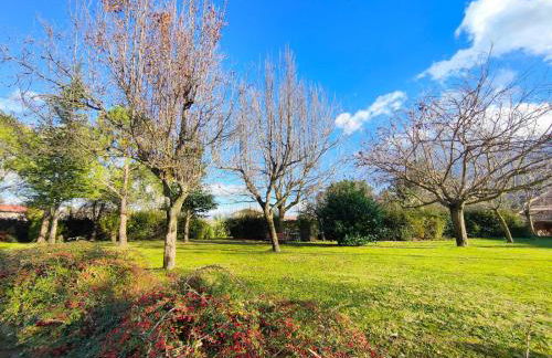 IL PICCOLO PARADISO - Foto 4